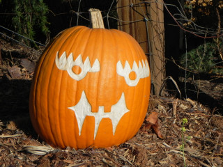 Moose Eye, Nipomo Pumpkin Patch best carving idea